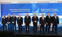 Transmission system operators of Bulgaria, Romania, Hungary, Slovakia and SOCAR sign MoU in Sofia, President Ilham Aliyev attends signing ceremony (PHOTO/VIDEO)
