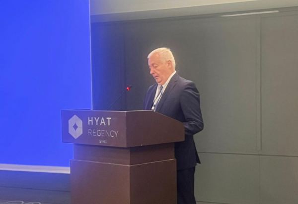 Azerbaijan should draw lessons from aftermath of earthquake in Türkiye - deputy minister