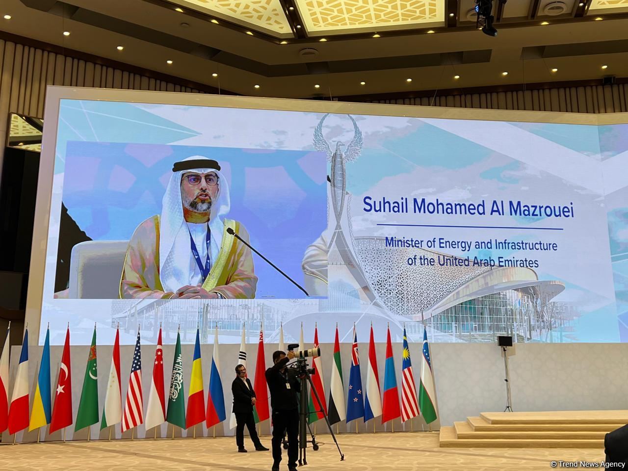 Central Asia one of richest renewable energy regions worldwide - UAE minister