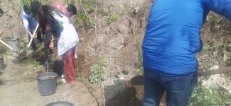 Azerbaijani eco-activists plant trees in temporarily suspended peaceful protest area on Lachin-Khankendi road (PHOTO)