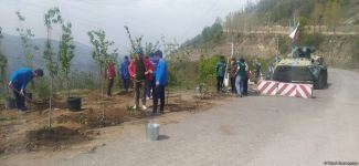 Azerbaijani eco-activists plant trees in temporarily suspended peaceful protest area on Lachin-Khankendi road (PHOTO)