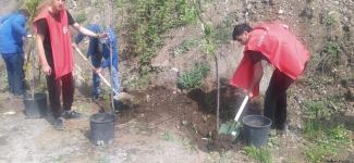 Azerbaijani eco-activists plant trees in temporarily suspended peaceful protest area on Lachin-Khankendi road (PHOTO)