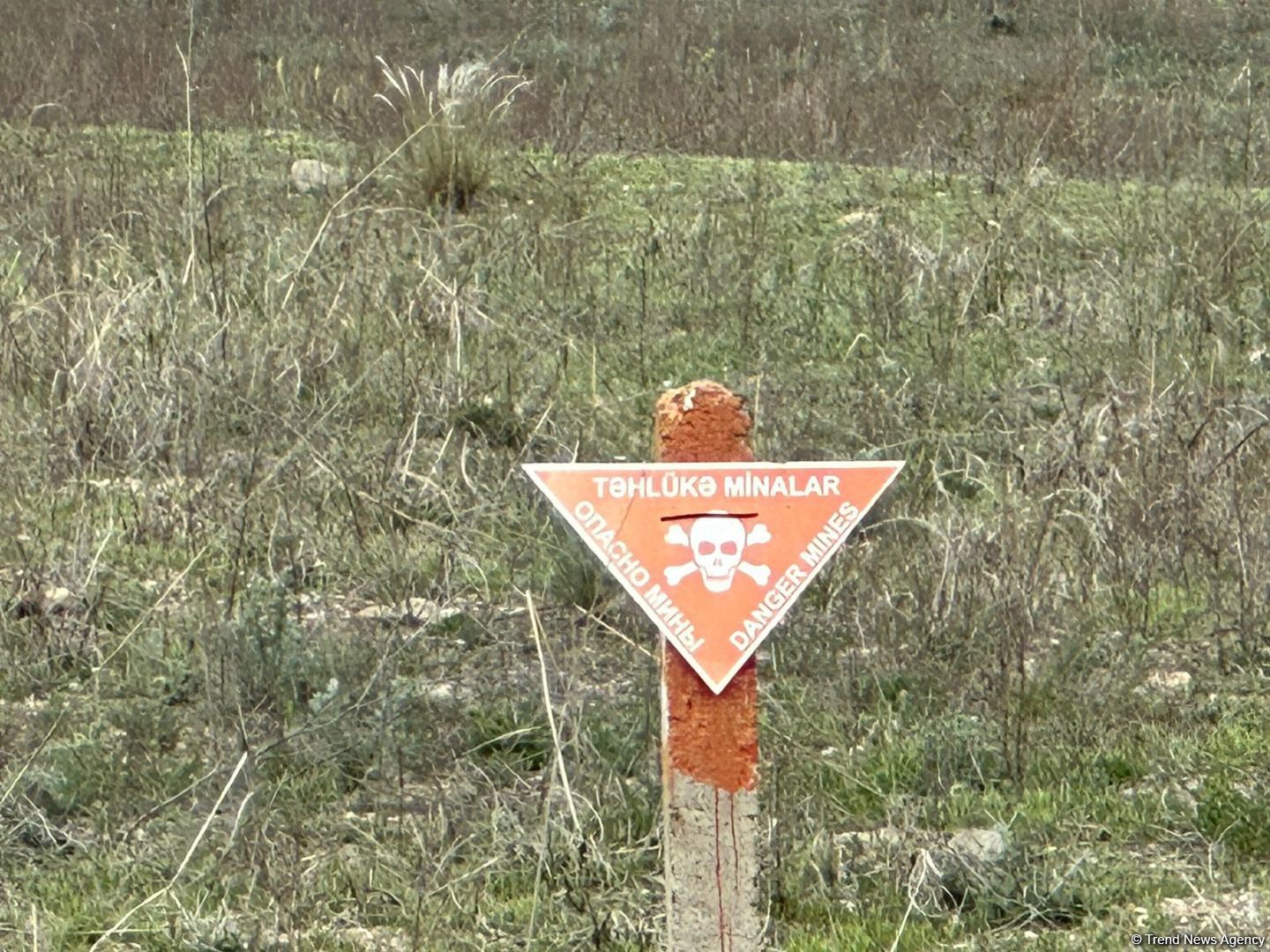 Azerbaijan demines 95,000 hectares of land since Nov. 2020 - official