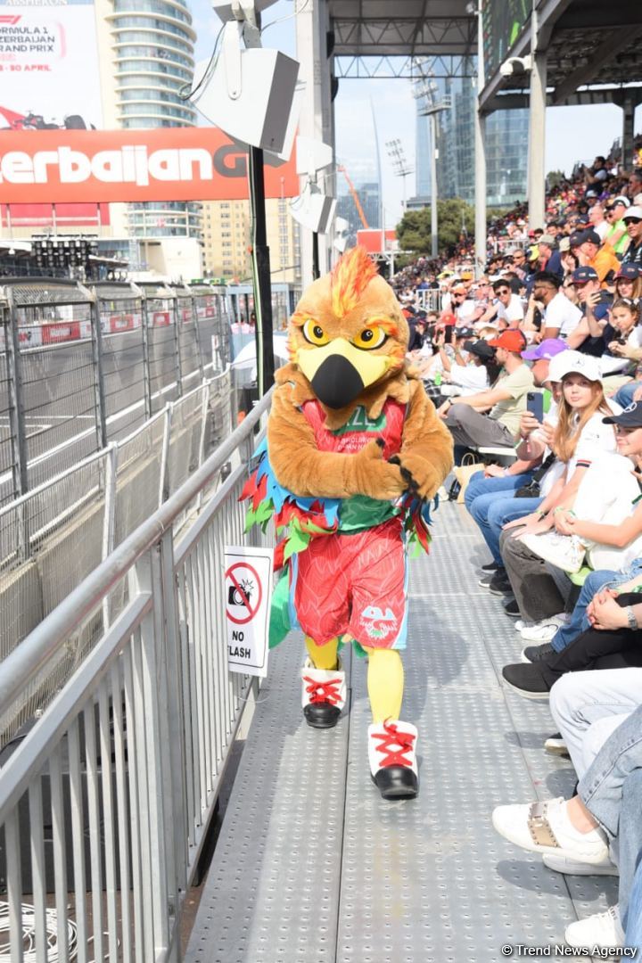 Fans thrilled with Formula 1 Azerbaijan Grand Prix race (PHOTO)