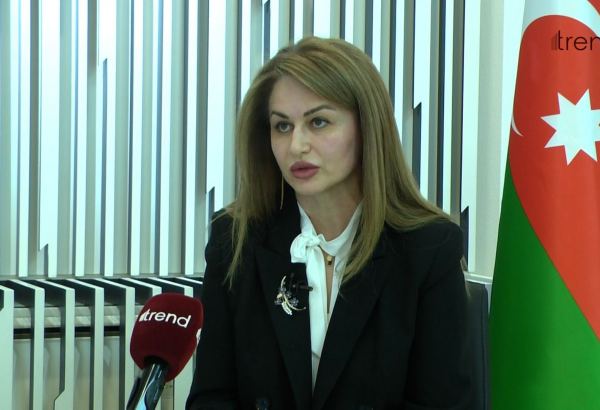 Enterprise Azerbaijan working to bring national startups to international markets (PHOTO/VIDEO) (Interview)