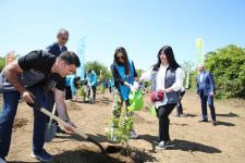 VP of Heydar Aliyev Foundation Leyla Aliyeva takes part in environmental events dedicated to 100th anniversary of Great Leader Heydar Aliyev (PHOTO)
