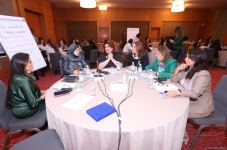 A business may be developed in a different way by rural women - Women’s National Business Agenda (PHOTO)