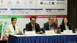Record number of companies to take part in agricultural exhibition in Baku - official (PHOTO)