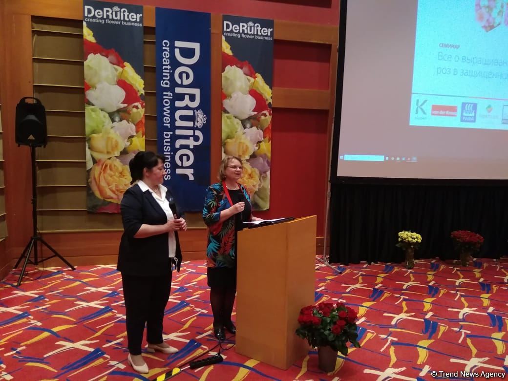 Netherlands attaches great importance to co-op in agricultural sector with Azerbaijan - ambassador