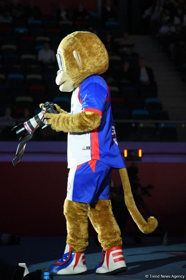 Mascot Luigi entertains audience and gymnasts at 39th European Championship in Rhythmic Gymnastics (PHOTO)