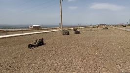 Azerbaijan's Combined Arms Army in Nakhchivan performs tasks with high professionalism