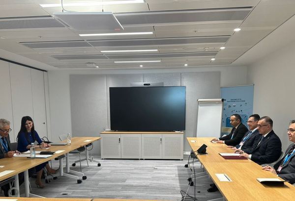 Azerbaijani delegation meets with Global Fund