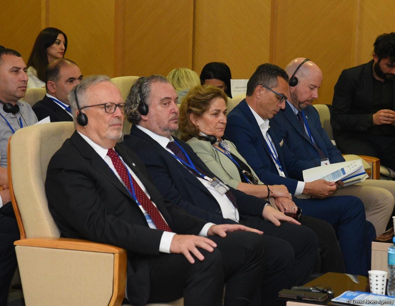 Baku hosts international conference on missing persons in First Karabakh War (PHOTO)