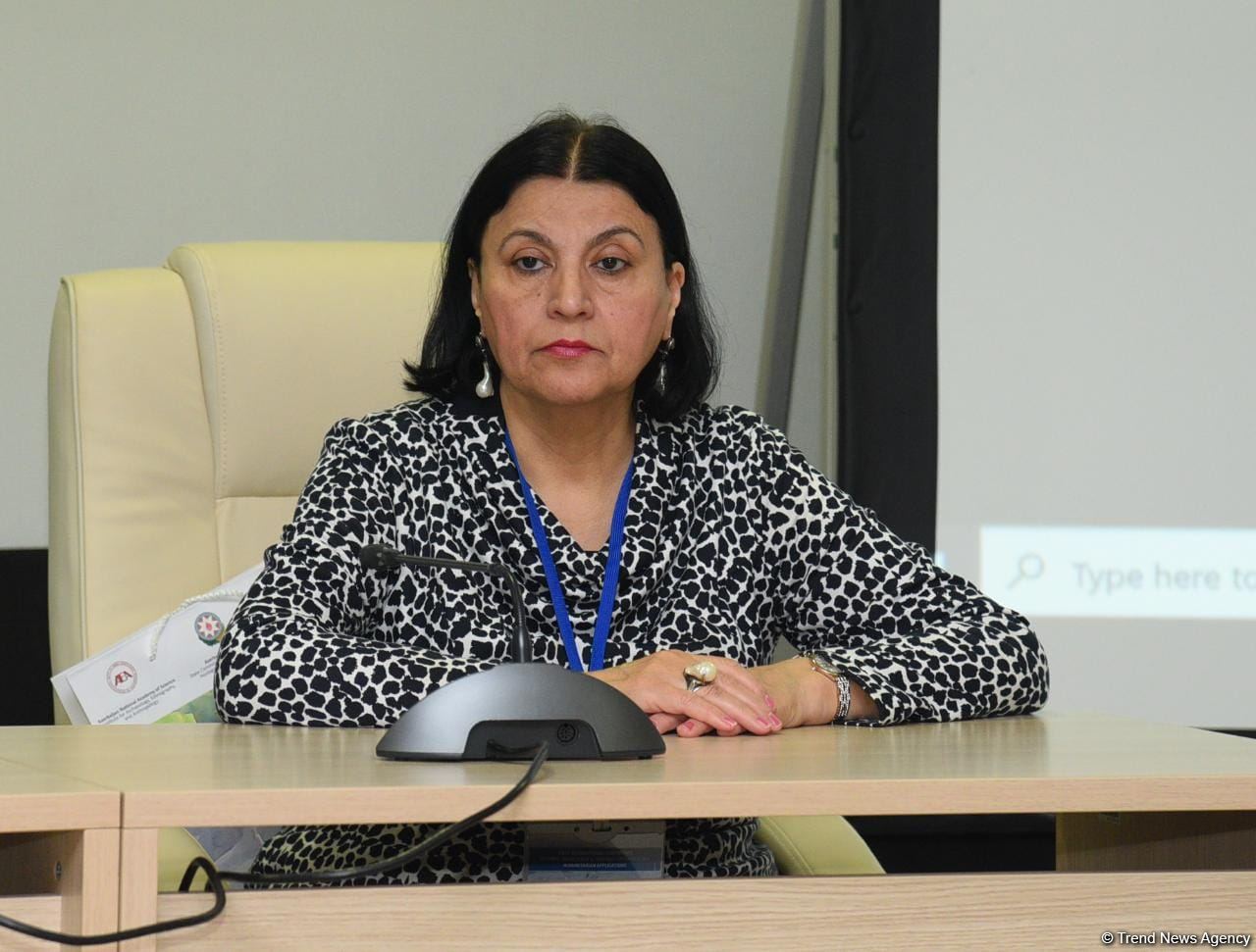 Baku hosts international conference on missing persons in First Karabakh War (PHOTO)