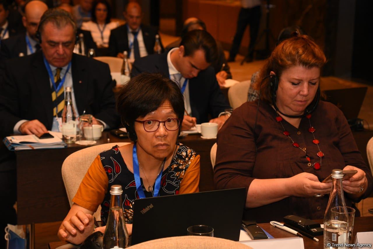 2nd International Humanitarian Conference on Mine Clearance kicks off in Baku (PHOTO)