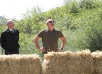President Ilham Aliyev attends ceremonies of releasing East Caucasian turs and falcons into wild, fish into Khakari River in Lachin district (PHOTO/VIDEO)