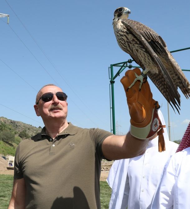 President Ilham Aliyev attends ceremonies of releasing East Caucasian turs and falcons into wild, fish into Khakari River in Lachin district (PHOTO/VIDEO)