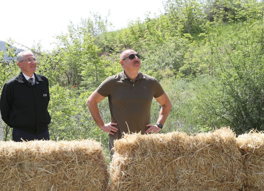 President Ilham Aliyev attends ceremonies of releasing East Caucasian turs and falcons into wild, fish into Khakari River in Lachin district (PHOTO/VIDEO)