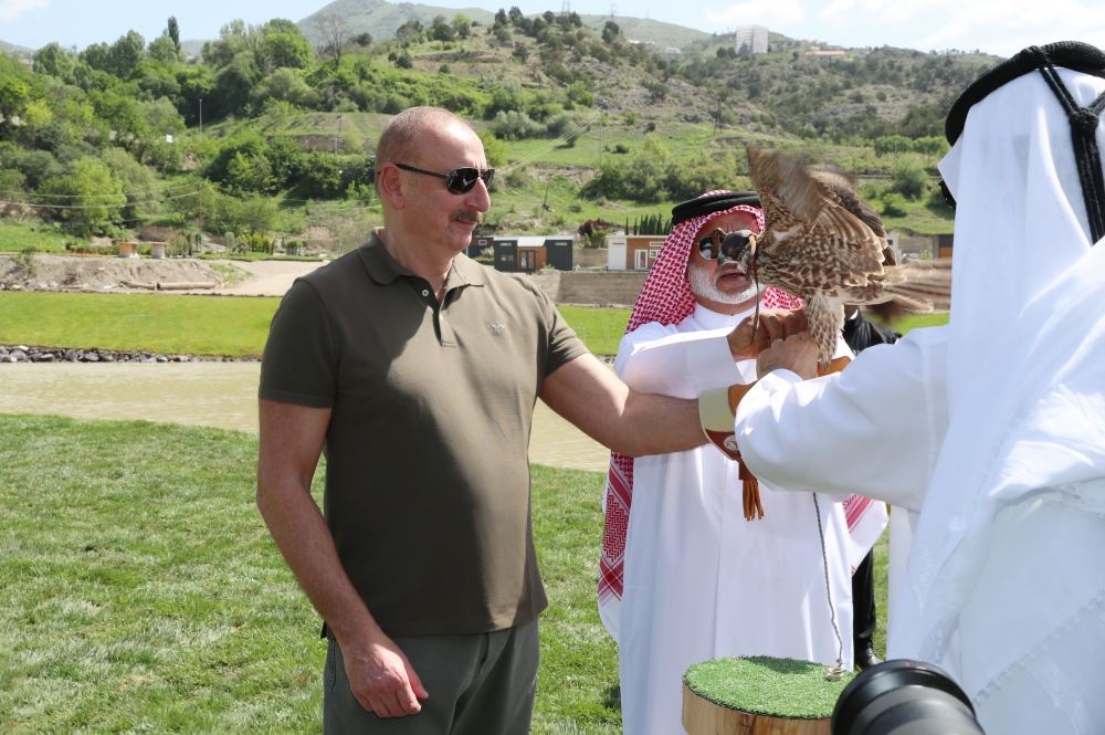 President Ilham Aliyev attends ceremonies of releasing East Caucasian turs and falcons into wild, fish into Khakari River in Lachin district (PHOTO/VIDEO)