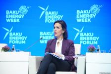 Caspian region has become energy hub - Azerbaijani minister (PHOTO)