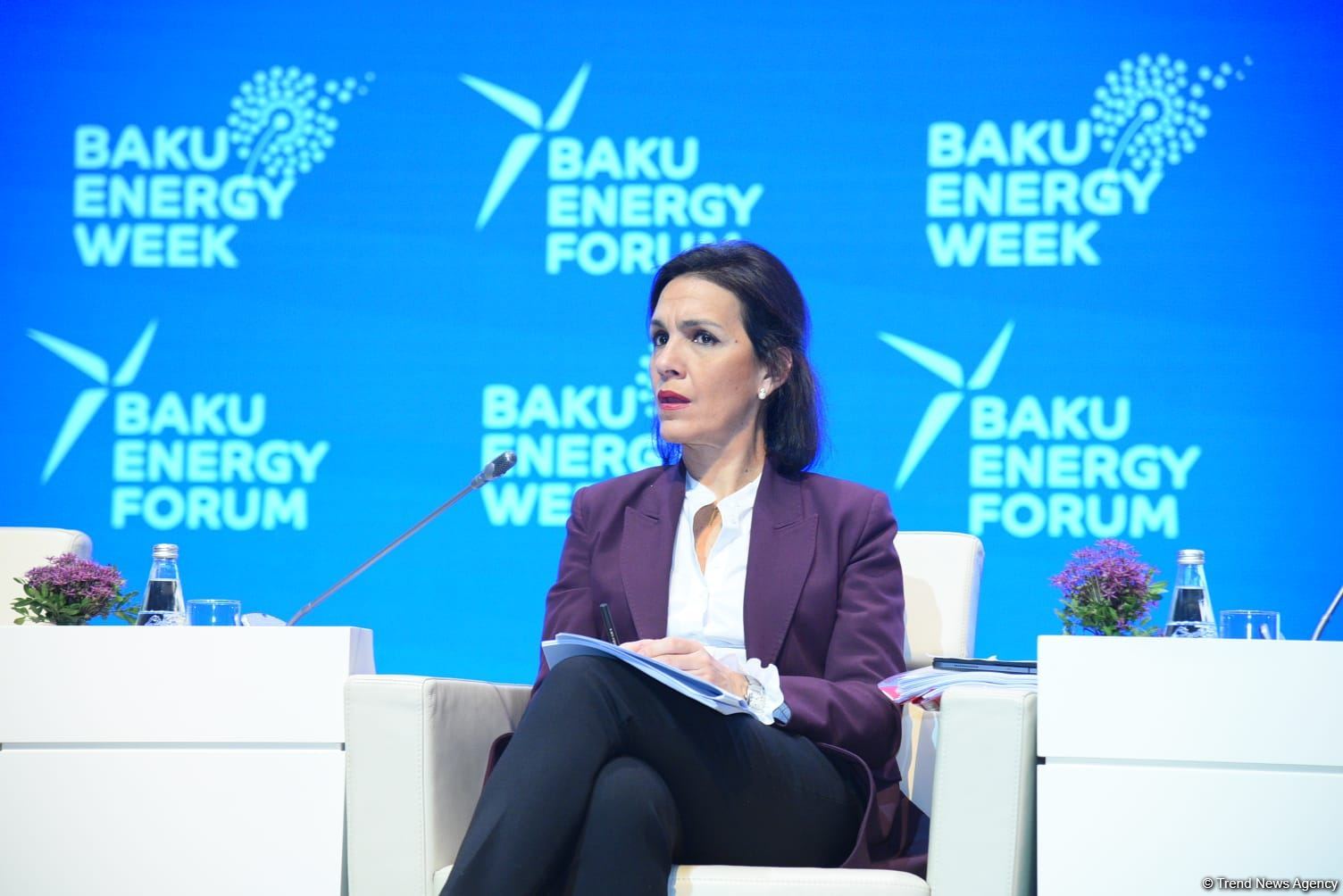 Caspian region has become energy hub - Azerbaijani minister (PHOTO)