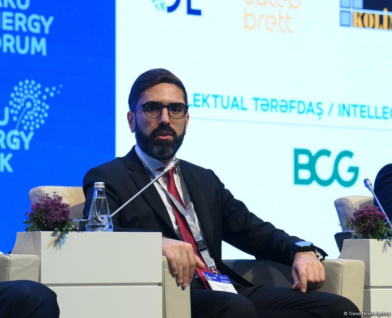 Azerbaijan's SOCAR boosts investments in oil, gas production - company president (PHOTO)