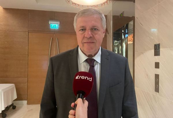 Azerbaijan plays important role in EU energy sources' diversification - Slovak ambassador