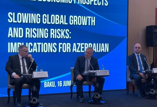Azerbaijan eyes expanding public-private partnership in context of Middle Corridor dev't
