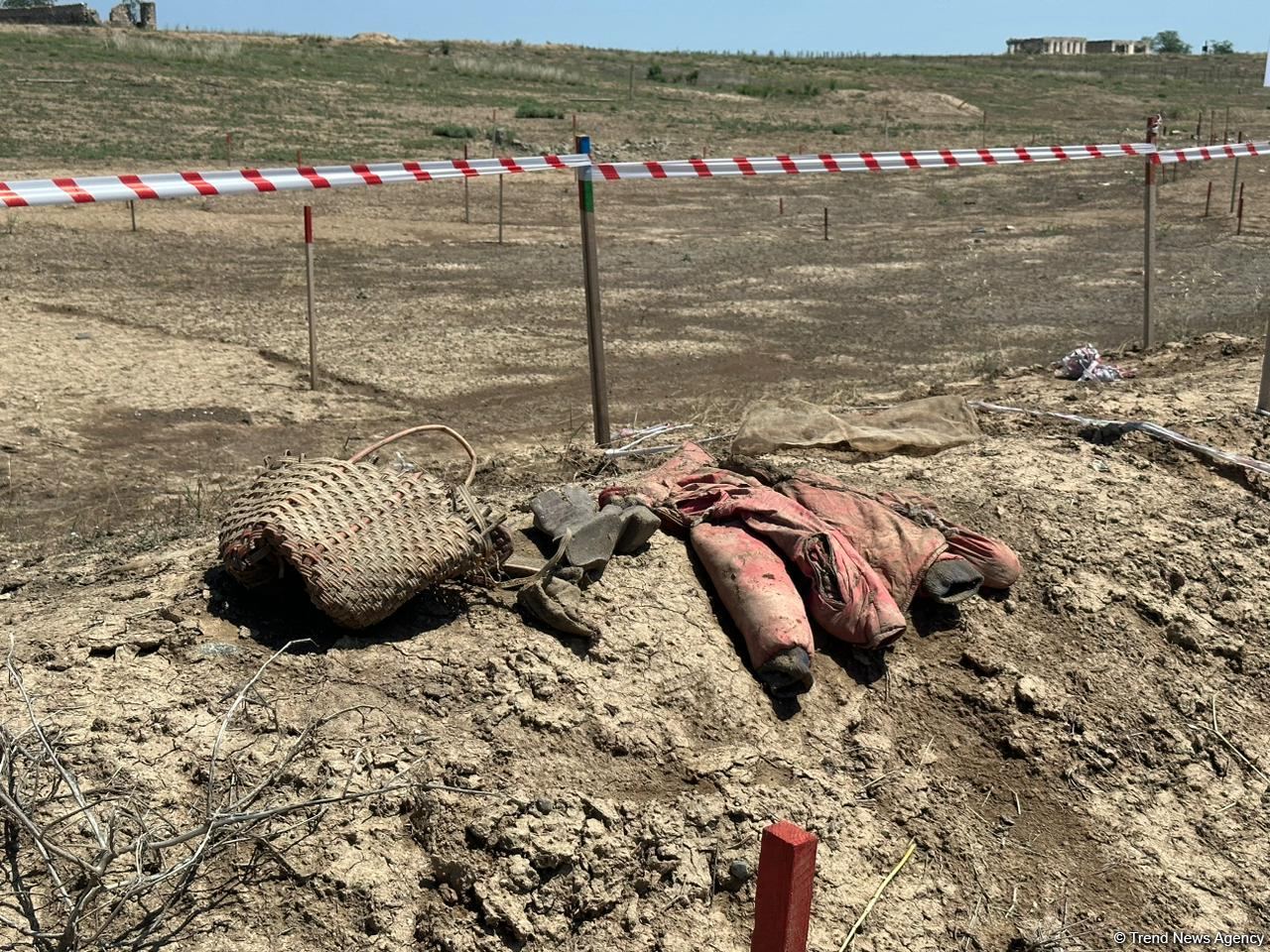 Mass grave discovered in Azerbaijan's Aghdam district (PHOTO/VIDEO)