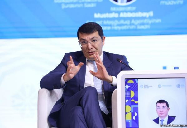 Azerbaijani official urges private sector to embrace AI expansion for enhanced efficiency