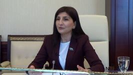 Azerbaijani and Turkish MPs hold discussions via teleconference - new project of Azerbaijani parliament and "Baku Network" expert platform (PHOTO/VIDEO)