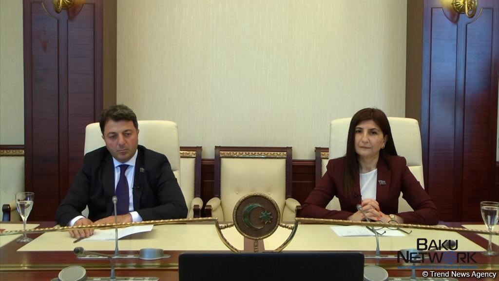 Azerbaijani and Turkish MPs hold discussions via teleconference - new project of Azerbaijani parliament and "Baku Network" expert platform (PHOTO/VIDEO)