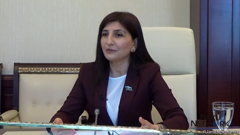 Azerbaijani and Turkish MPs hold discussions via teleconference - new project of Azerbaijani parliament and "Baku Network" expert platform (PHOTO/VIDEO)