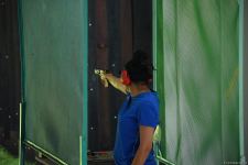 Qualification stage for women's skeet shooting at III European Games wraps up (PHOTO)