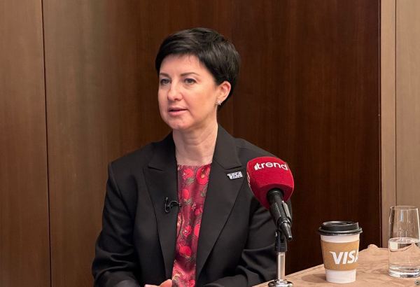 Visa's VP highlights cooperation with banks in Central Asia (Exclusive)