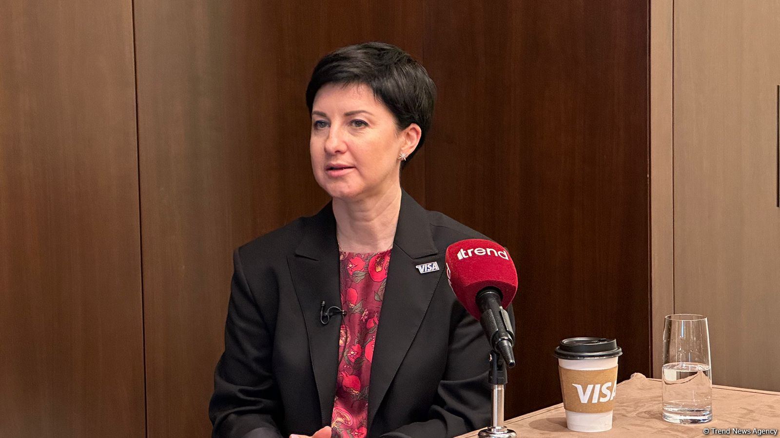 Azerbaijan's market holds strategic significance for Visa - senior vice-president