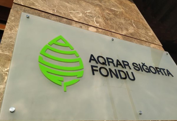 Azerbaijan unveils new animal insurance guidelines to support farmers
