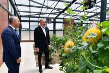 President Ilham Aliyev attends opening of Jalilabad State Vocational Education Center (PHOTO/VIDEO)