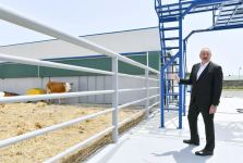President Ilham Aliyev attends opening of Jalilabad State Vocational Education Center (PHOTO/VIDEO)