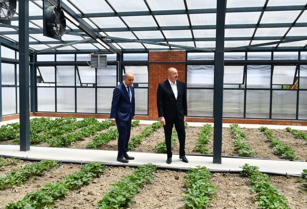 President Ilham Aliyev attends opening of Jalilabad State Vocational Education Center (PHOTO/VIDEO)