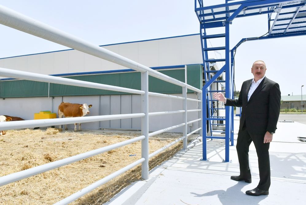 President Ilham Aliyev attends opening of Jalilabad State Vocational Education Center (PHOTO/VIDEO)