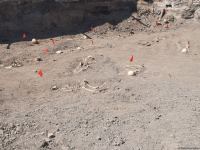 Azerbaijan discovers another mass-casualty burial in Shusha (PHOTO)