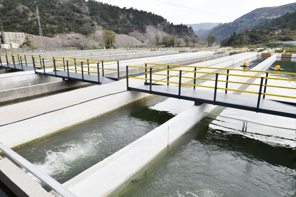 President Ilham Aliyev, First Lady Mehriban Aliyeva attend opening of "Hakari Fish Farm" (PHOTO)