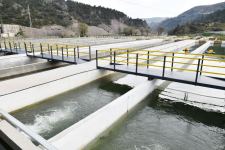 President Ilham Aliyev, First Lady Mehriban Aliyeva attend opening of "Hakari Fish Farm" (PHOTO)