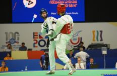 Azerbaijani taekwondo athlete wins silver at competition in Yekaterinburg (PHOTO)