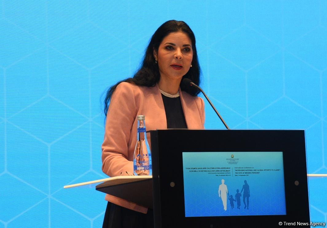 Armenia's rebuffing data over missing persons is unacceptable - ex Romanian deputy premier