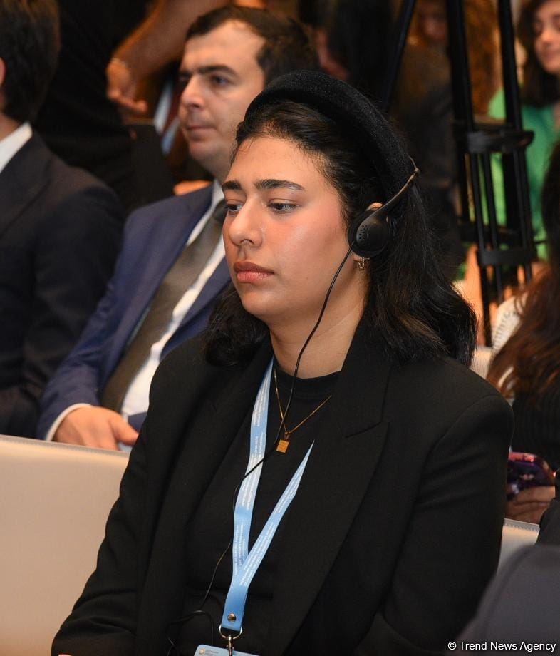 Azerbaijan's Baku hosts international event dedicated to missing persons (PHOTO)