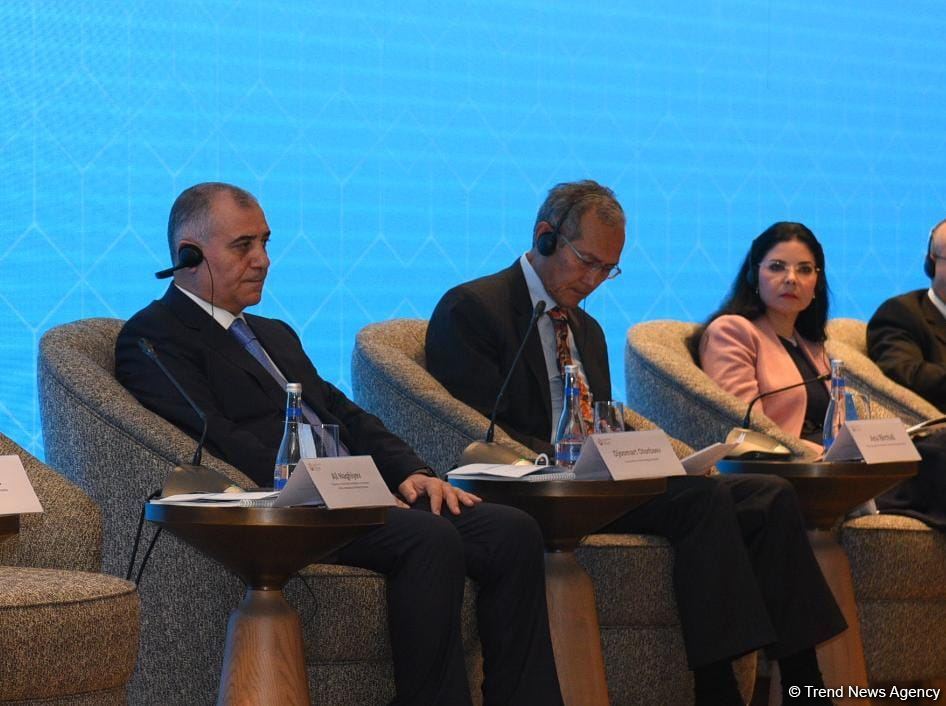 Azerbaijan's Baku hosts international event dedicated to missing persons (PHOTO)