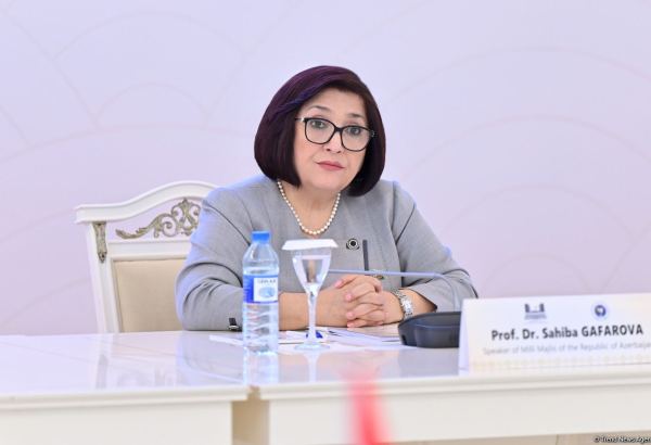 PACE, Western parliaments attempt to meddle in Azerbaijan's domestic affairs - speaker