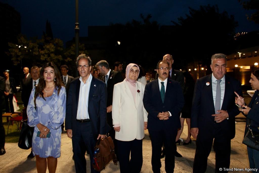 Türkiye actively developing in space field - ambassador (PHOTO)